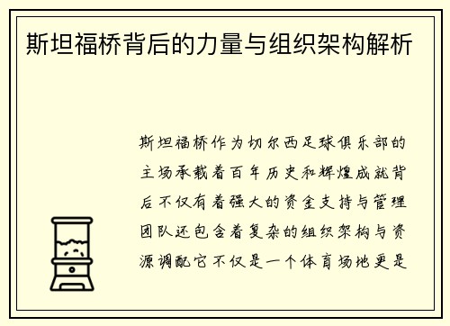 斯坦福桥背后的力量与组织架构解析 斯坦福桥背后的力量与组织架构解析